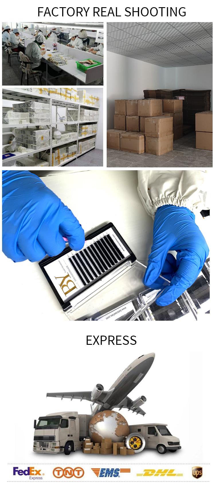 primer_06 primer_06.jpg